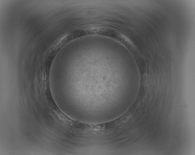X0000081331111200701181947