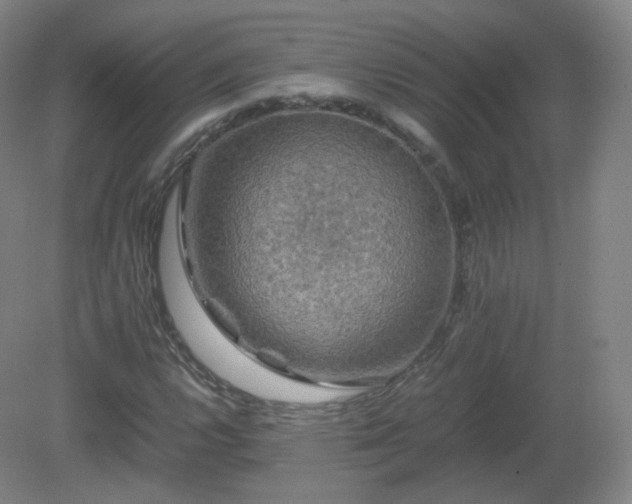 X0000081331112200701181947
