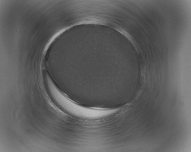 X0000081331120200701181947
