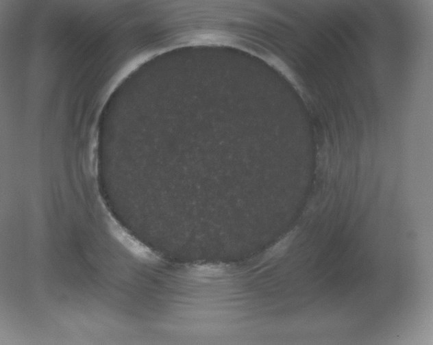 X0000081331126200701181947
