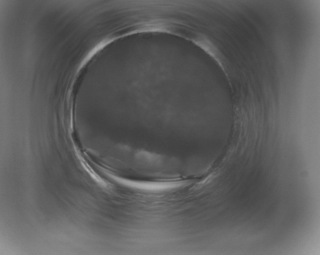 X0000081331127200701181947