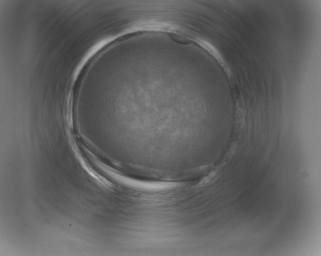 X0000081331128200701181947