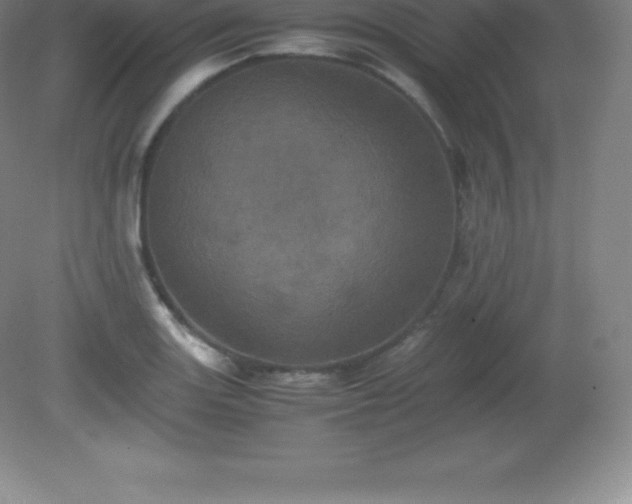 X0000081331131200701181947
