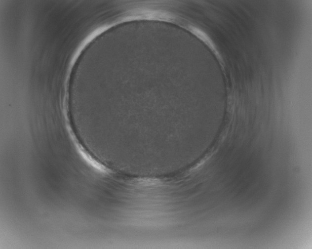 X0000081331136200701181947