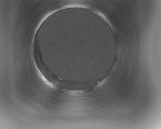 X0000081331140200701181947