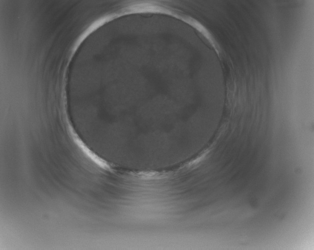 X0000081331142200701181947