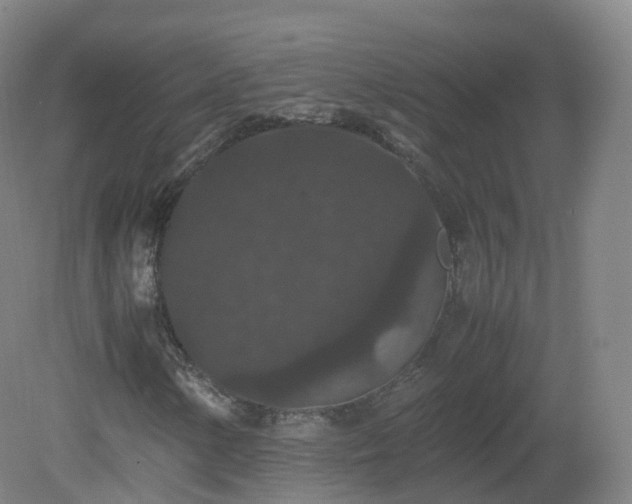 X0000081331154200701181947