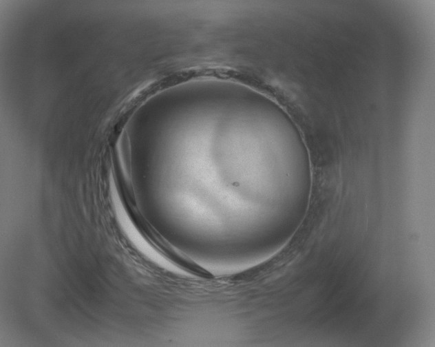 X0000081331159200701181947