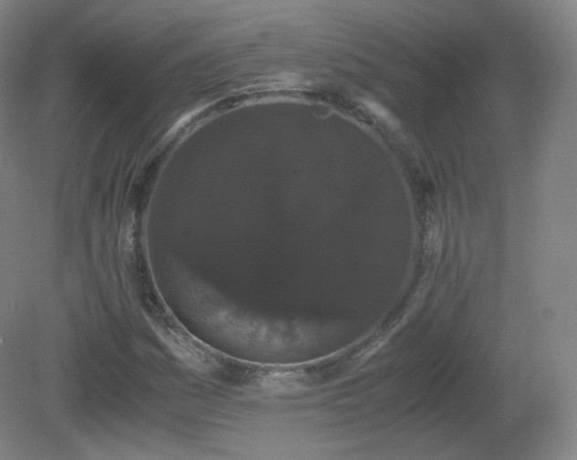 X0000081331161200701181947