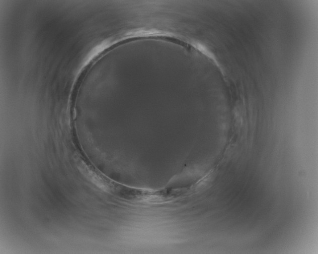 X0000081331173200701181946