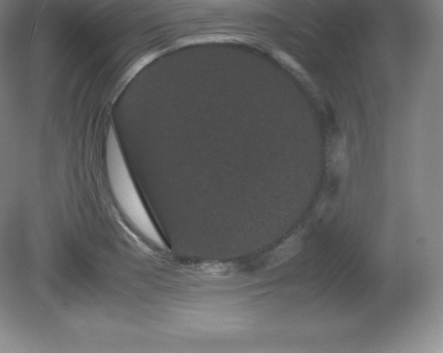 X0000081331177200701181946