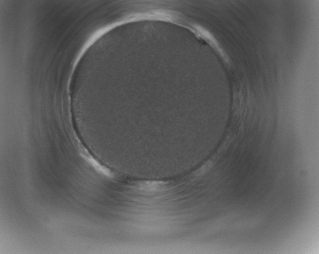 X0000081331184200701181946