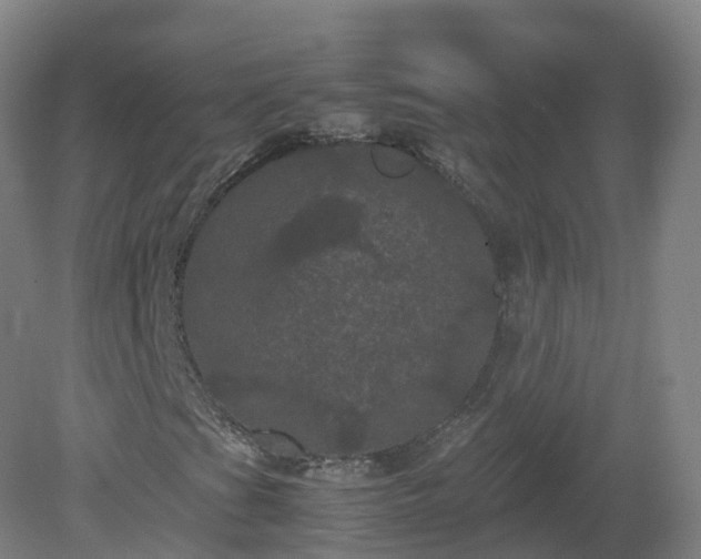 X0000081331201200701181945
