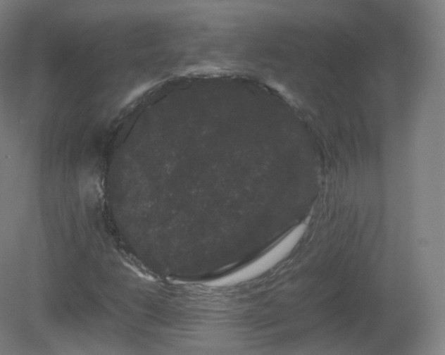 X0000081331206200701181945