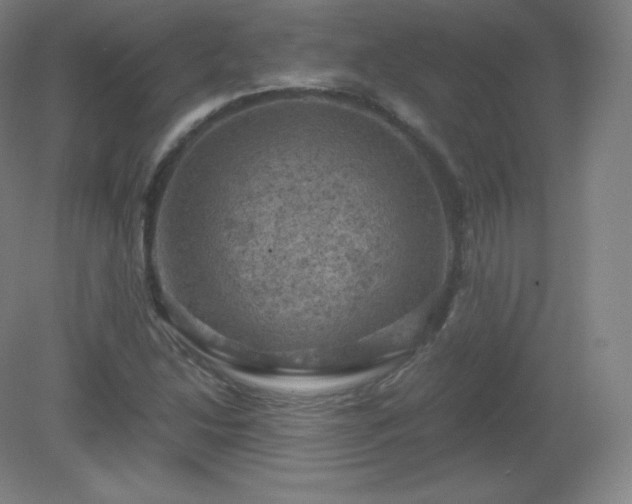 X0000081331214200701181945