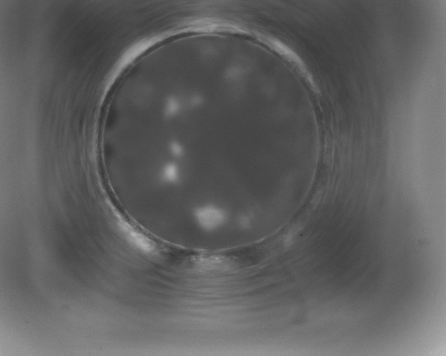 X0000081331231200701181946
