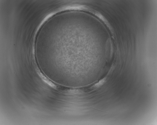 X0000081331232200701181946