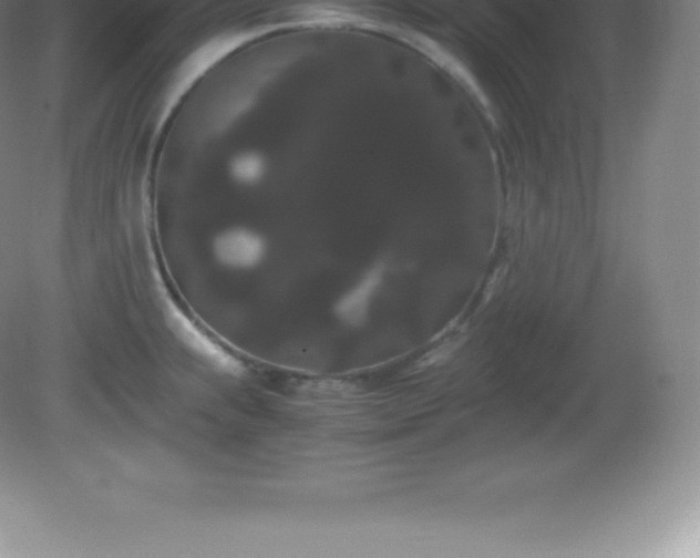 X0000081331239200701181946