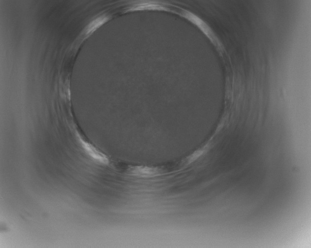 X0000081331241200701181946