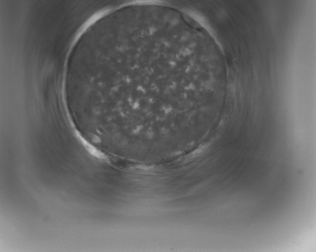X0000081331245200701181946