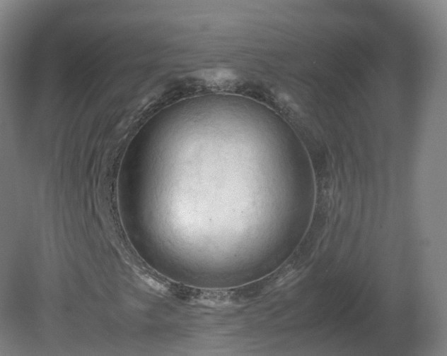 X0000081331249200701181945