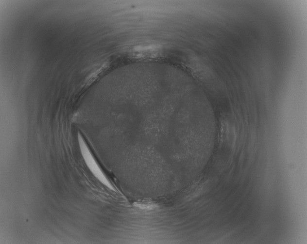 X0000081331250200701181945