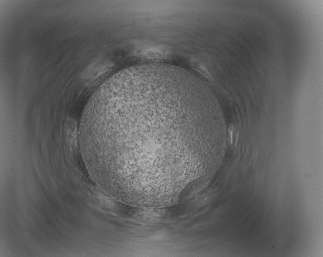 X0000081331251200701181945