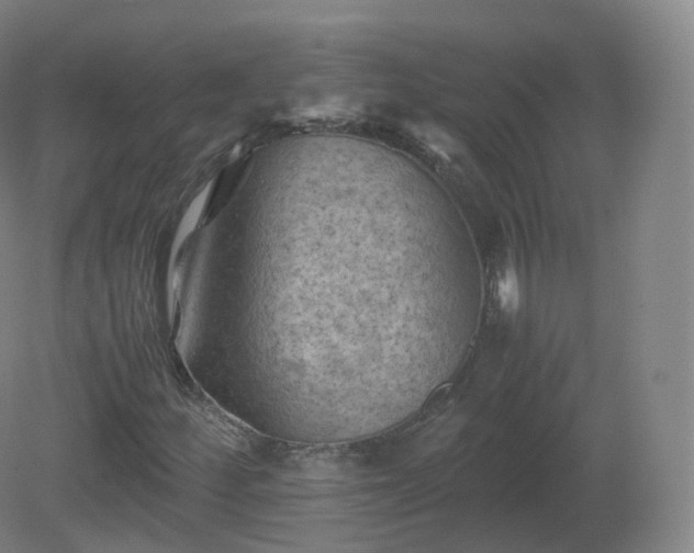 X0000081331252200701181945