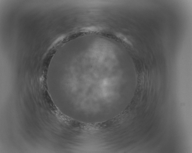 X0000081331254200701181945