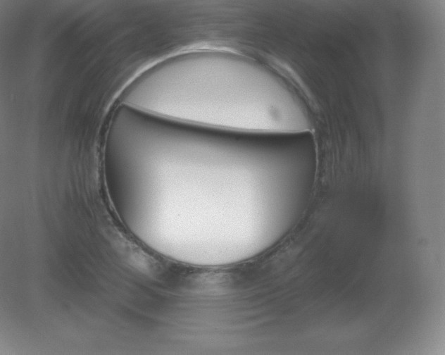 X0000081331268200701181945