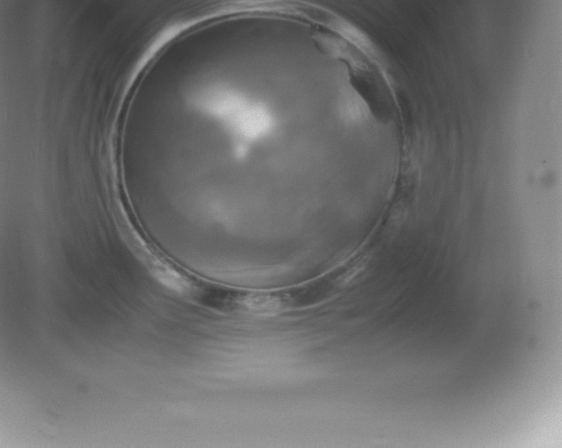 X0000081331291200701181944