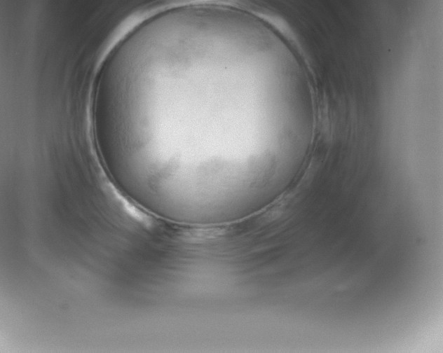 X0000081331294200701181944