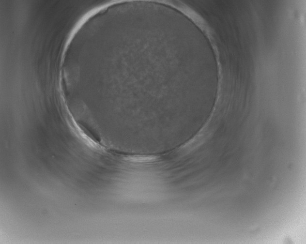 X0000081331296200701181944
