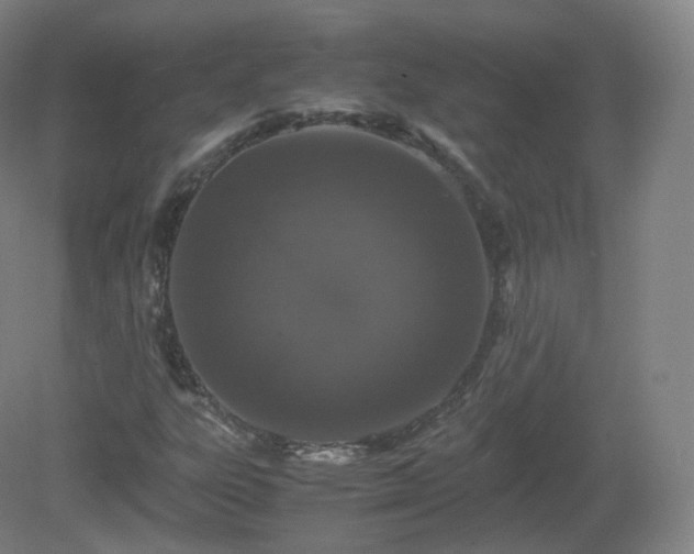 X0000081331303200701181944