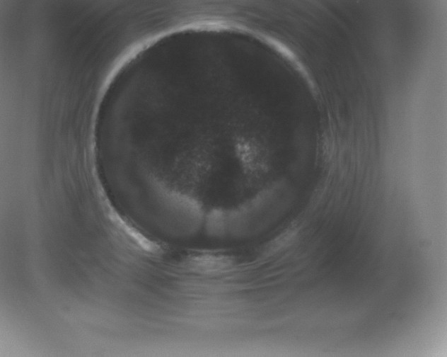 X0000081331327200701181944