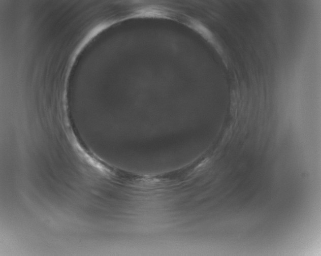 X0000081331331200701181944