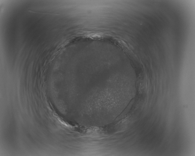 X0000081331345200701181944