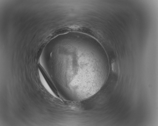 X0000081331347200701181944
