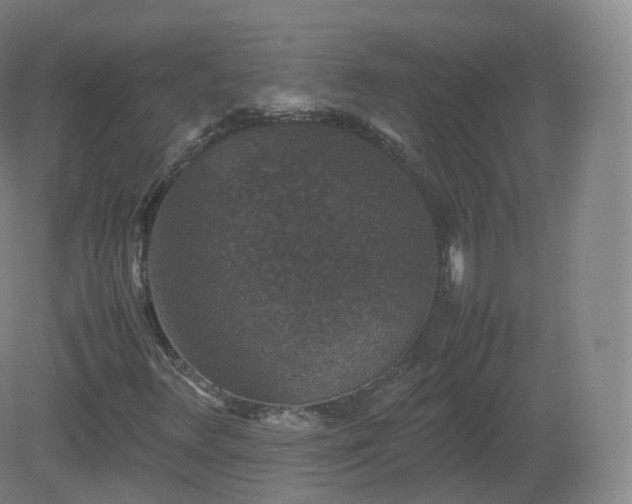X0000081331348200701181944