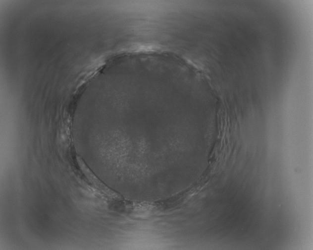 X0000081331349200701181943
