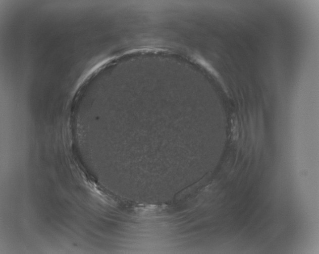 X0000081331352200701181943