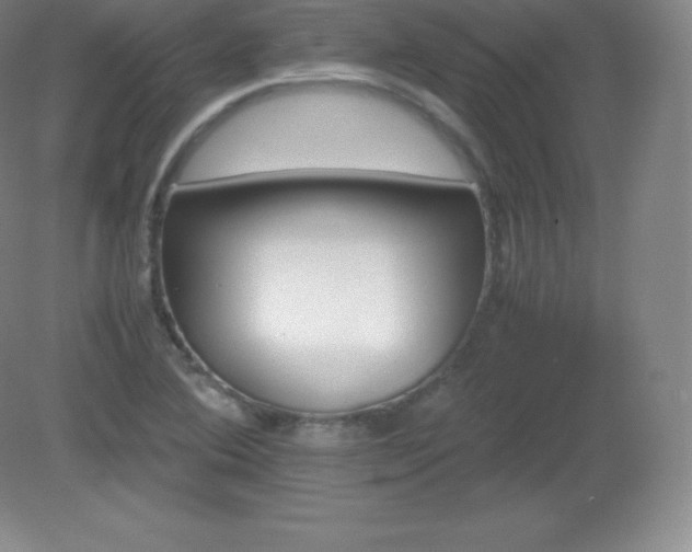 X0000081331364200701181943