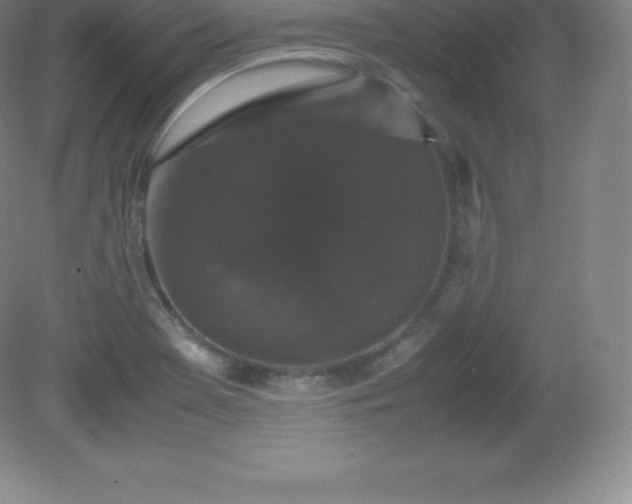 X0000081331369200701181943