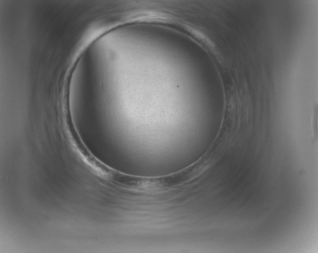 X0000081331375200701181943