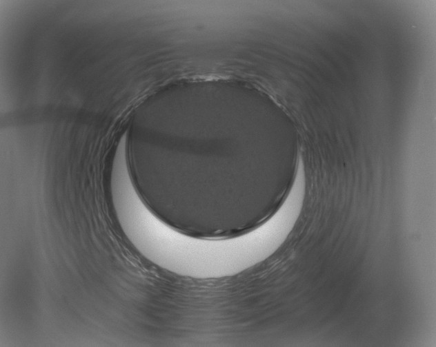 X0000081331393200701181942
