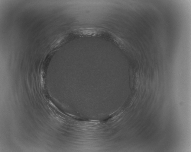 X0000081331394200701181942