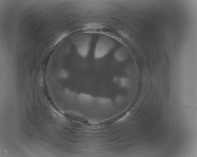 X0000081331401200701181942