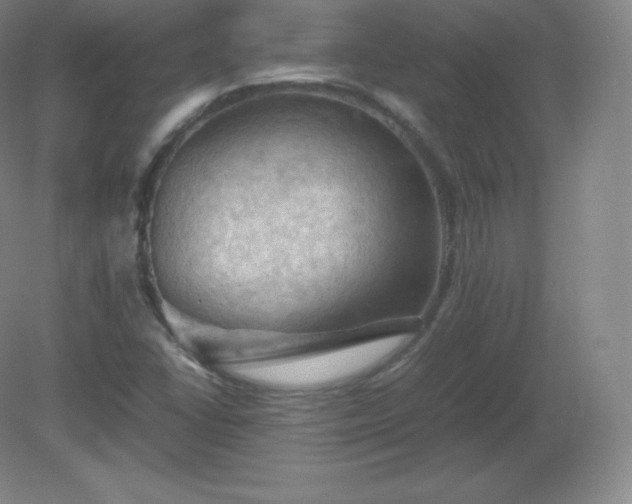 X0000081331406200701181942
