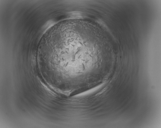 X0000081331409200701181942