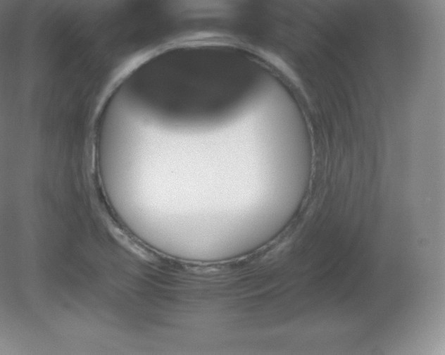 X0000081331413200701181942
